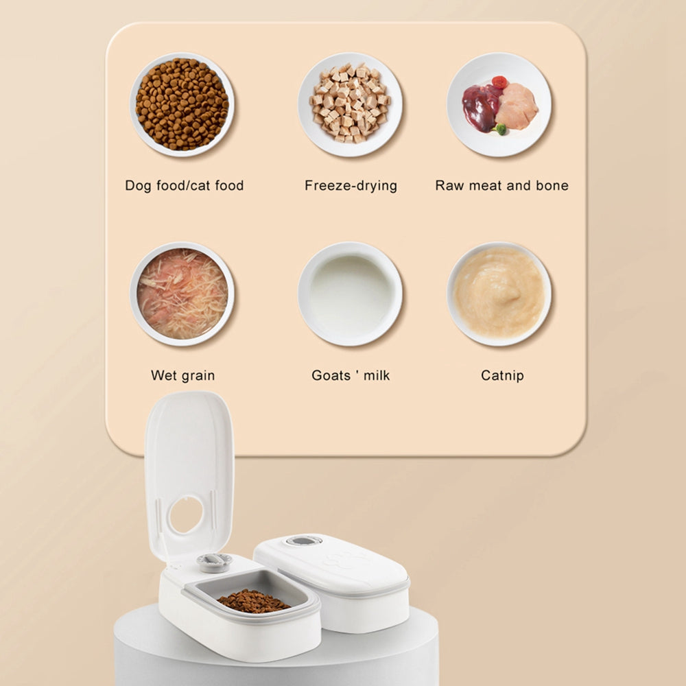 Automatic Pet Feeder Smart Food Dispenser For Cats Dogs Timer Stainless Steel Bowl Auto Dog Cat Pet Feeding Pets Supplies Siqur Salute