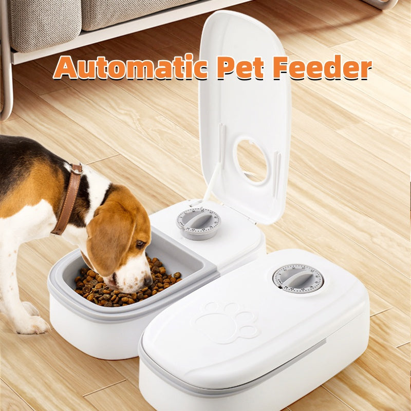Automatic Pet Feeder Smart Food Dispenser For Cats Dogs Timer Stainless Steel Bowl Auto Dog Cat Pet Feeding Pets Supplies Siqur Salute